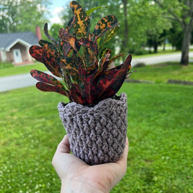 Cozy Alpine Plant Pot Cover