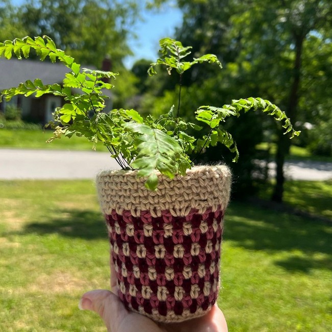 Striped Moss Plant Pot Cover