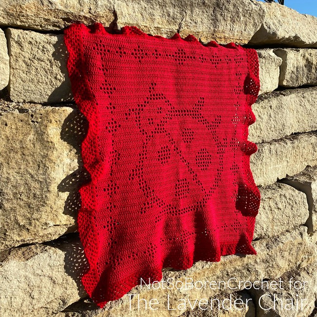 Filet Ladybug Blanket