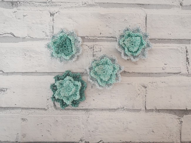 Crochet Succulent