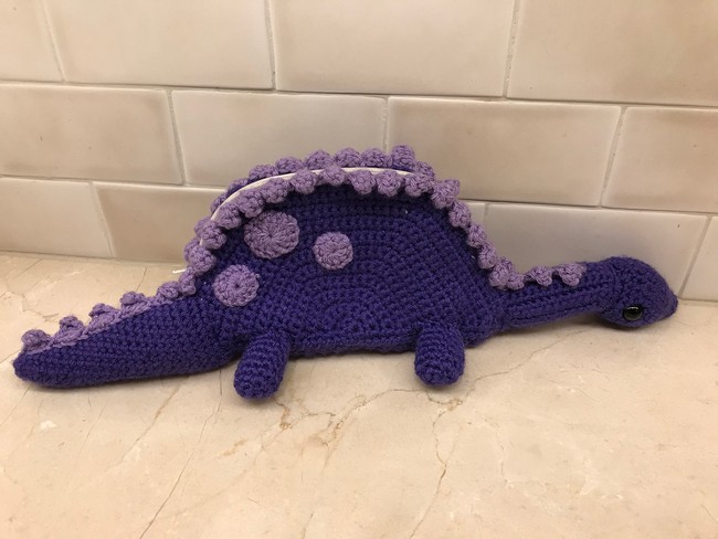 Dinosaur Pencil Case