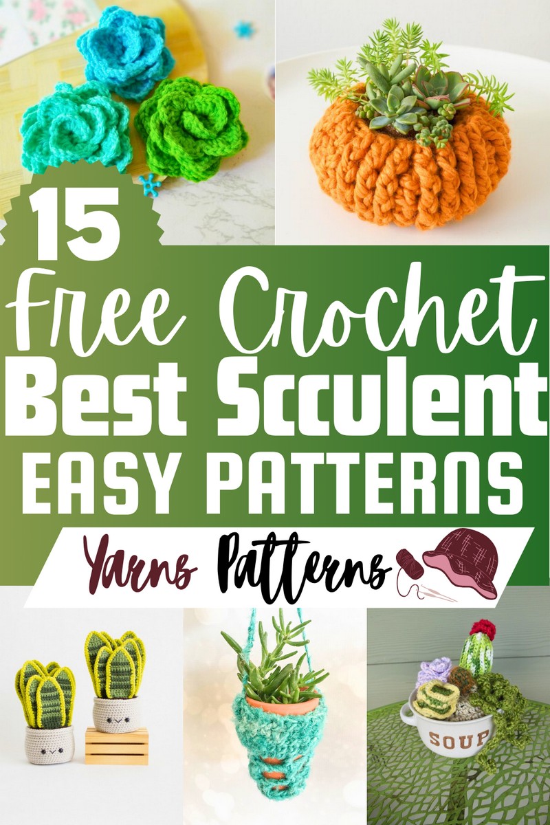 Free Crochet Succulent Patterns