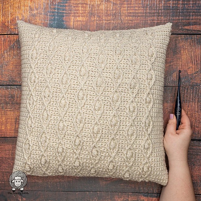 Crochet Ahead Of The Curve Throw Pillow Pattern