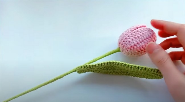 Crochet tulip