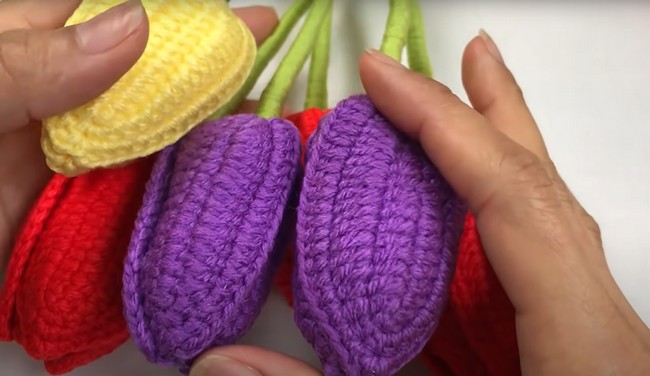 How to Crochet Tulips