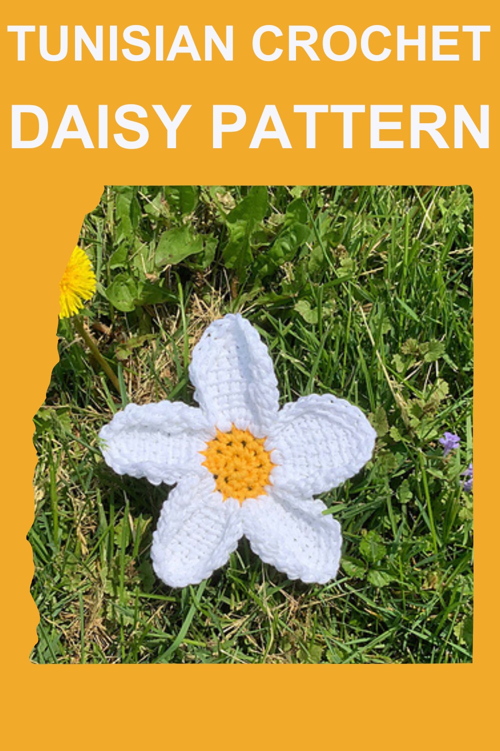 Tunisian Crochet Daisy Pattern