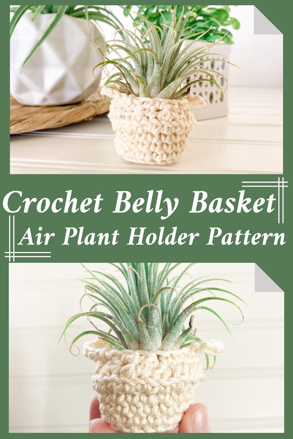 Crochet Belly Basket Air Plant Holder Pattern