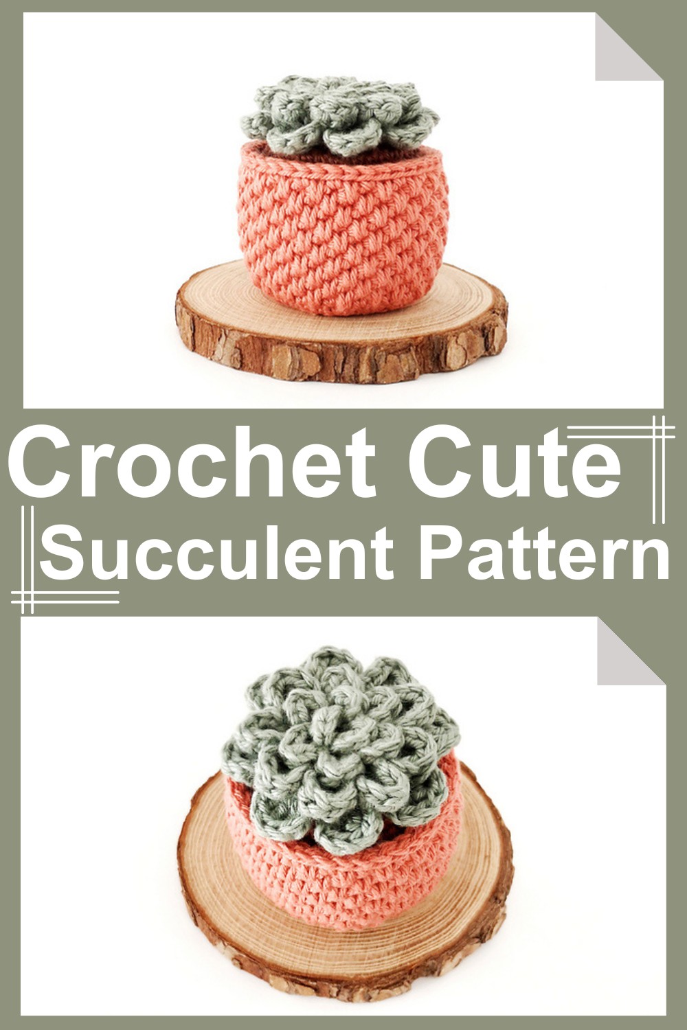 Crochet Cute Succulent Pattern