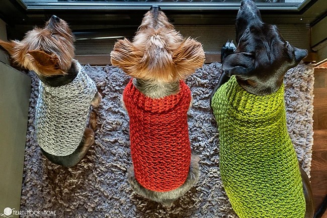 Crochet Dandy Dog Sweater Pattern