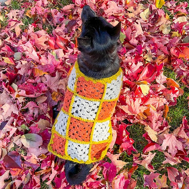 Crochet Granny Square Dog Sweater Pattern