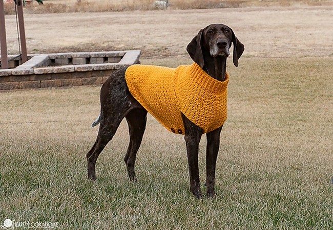 Crochet Large Dog Sweater Pattern