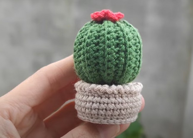 Crochet Mini Cactus Pot