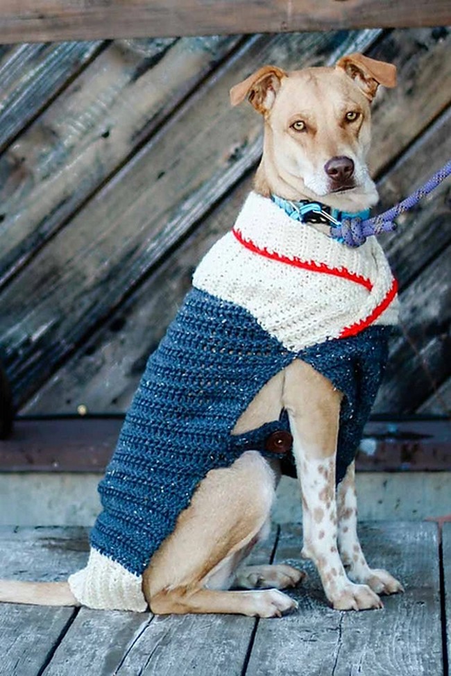 Crochet Ready To Roam Dog Sweater Pattern