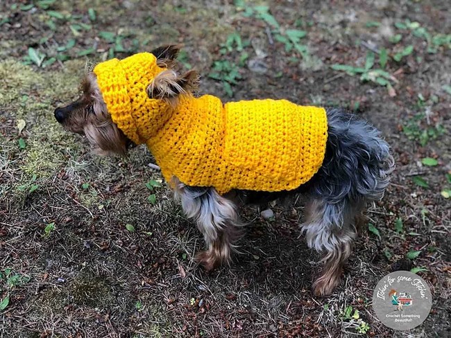 Crochet Small Dog Hoodie Sweater Pattern 