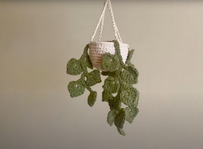 Easy Crochet Mini Hanging Money Plant