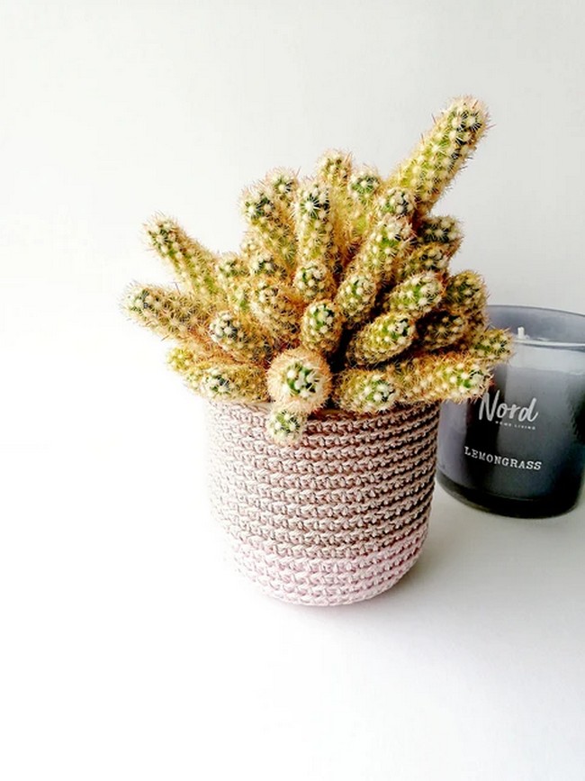 Crochet Mini Plant Pot Cozy Molly Pattern