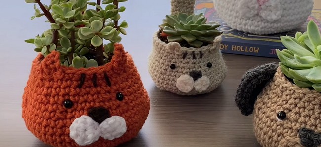 Cute Crochet Plant Holder