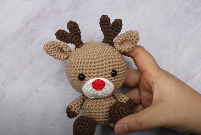 Little Reindeer