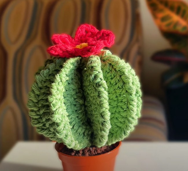 Crochet Cactus