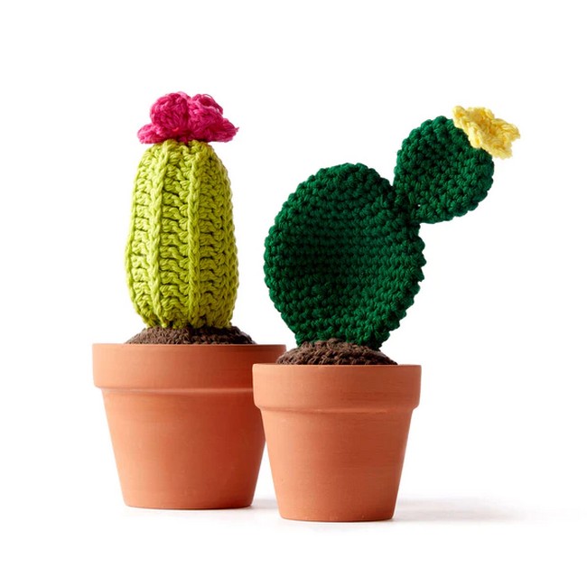 Crochet Cream Crochet Cacti Pattern