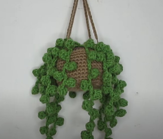 Crochet Hanging Plant 