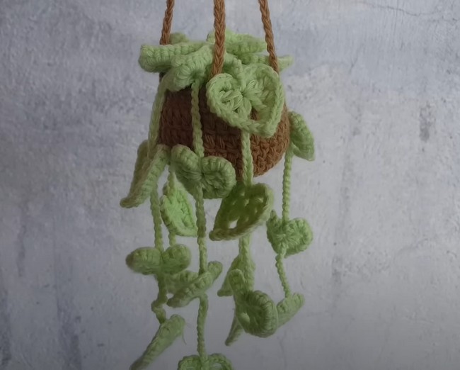 Crochet Monstera Plant Car Hanger