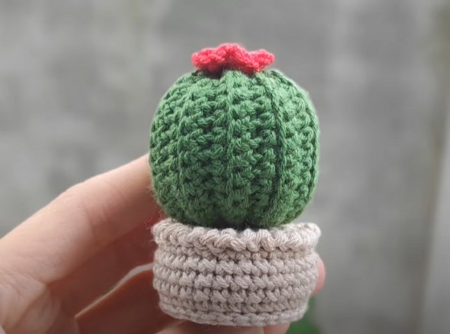 Crochet mini Cactus Pot