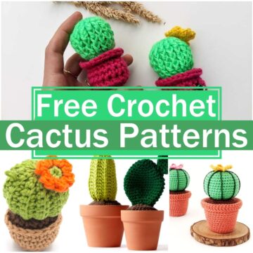 Free Crochet Cactus Patterns