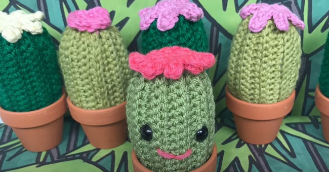 How To Crochet A Cactus