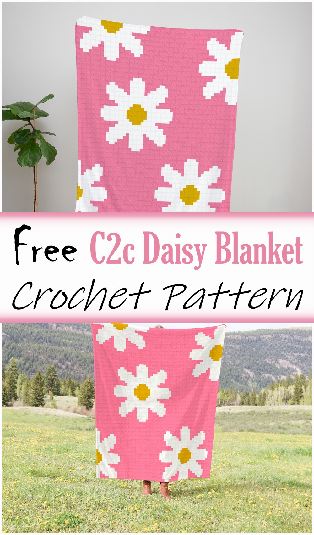 C2c Daisy Blanket