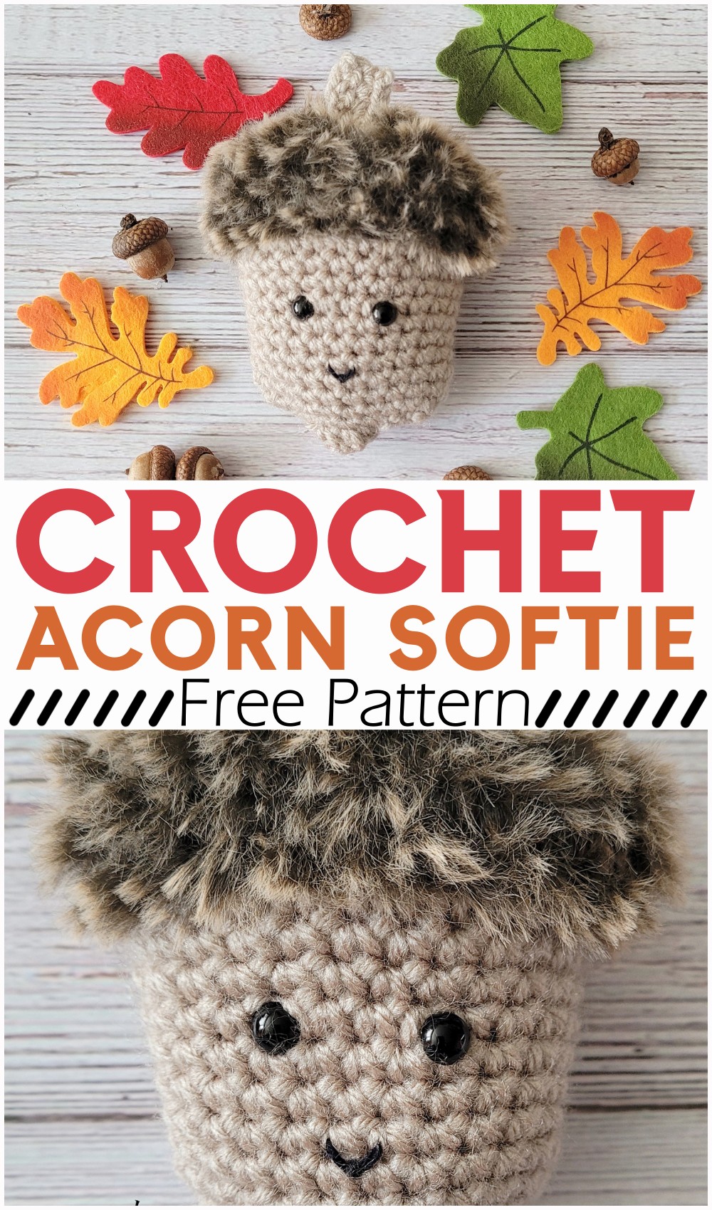 Acorn Softie