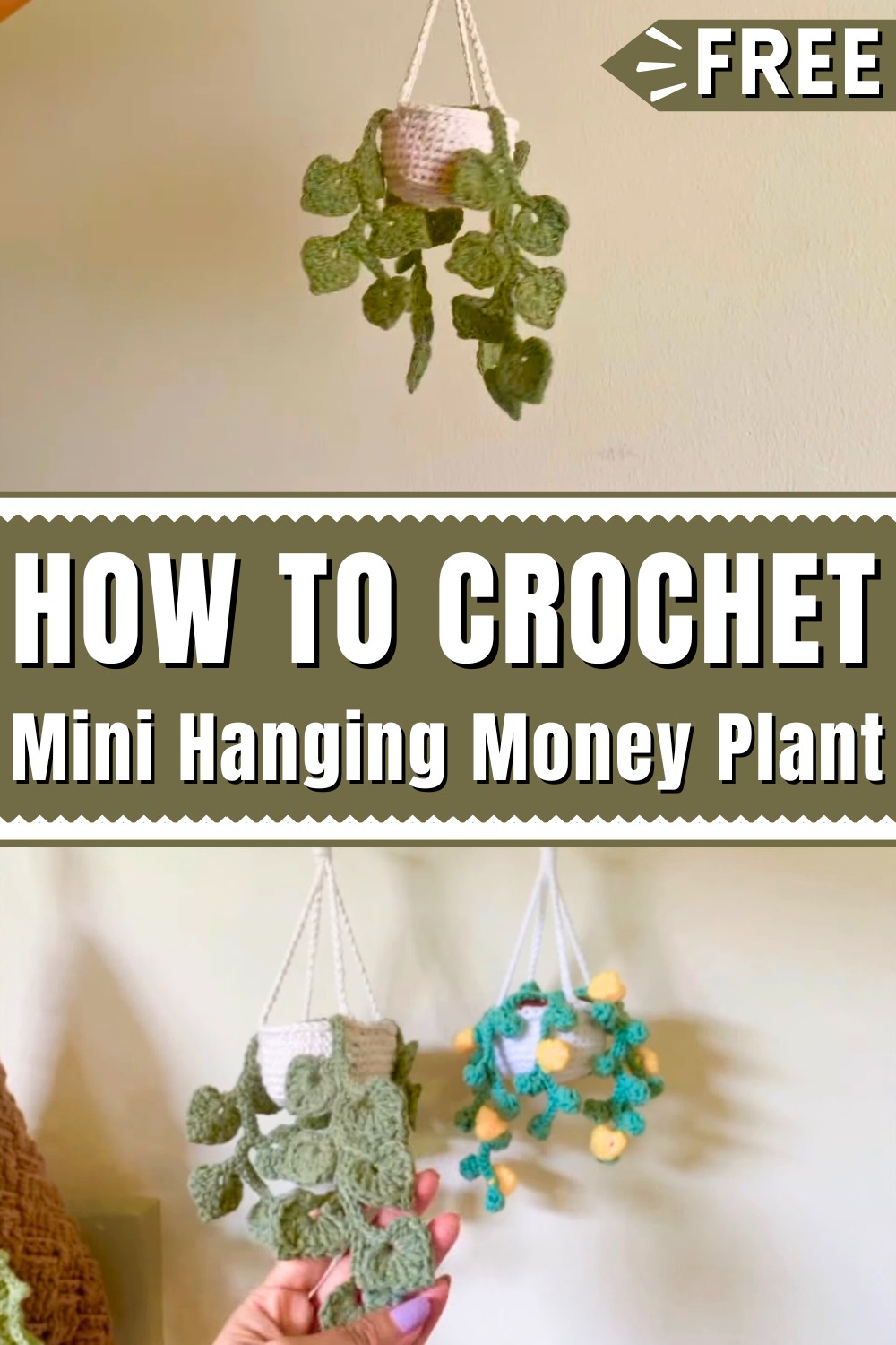 Easy Crochet Mini Hanging Money Plant