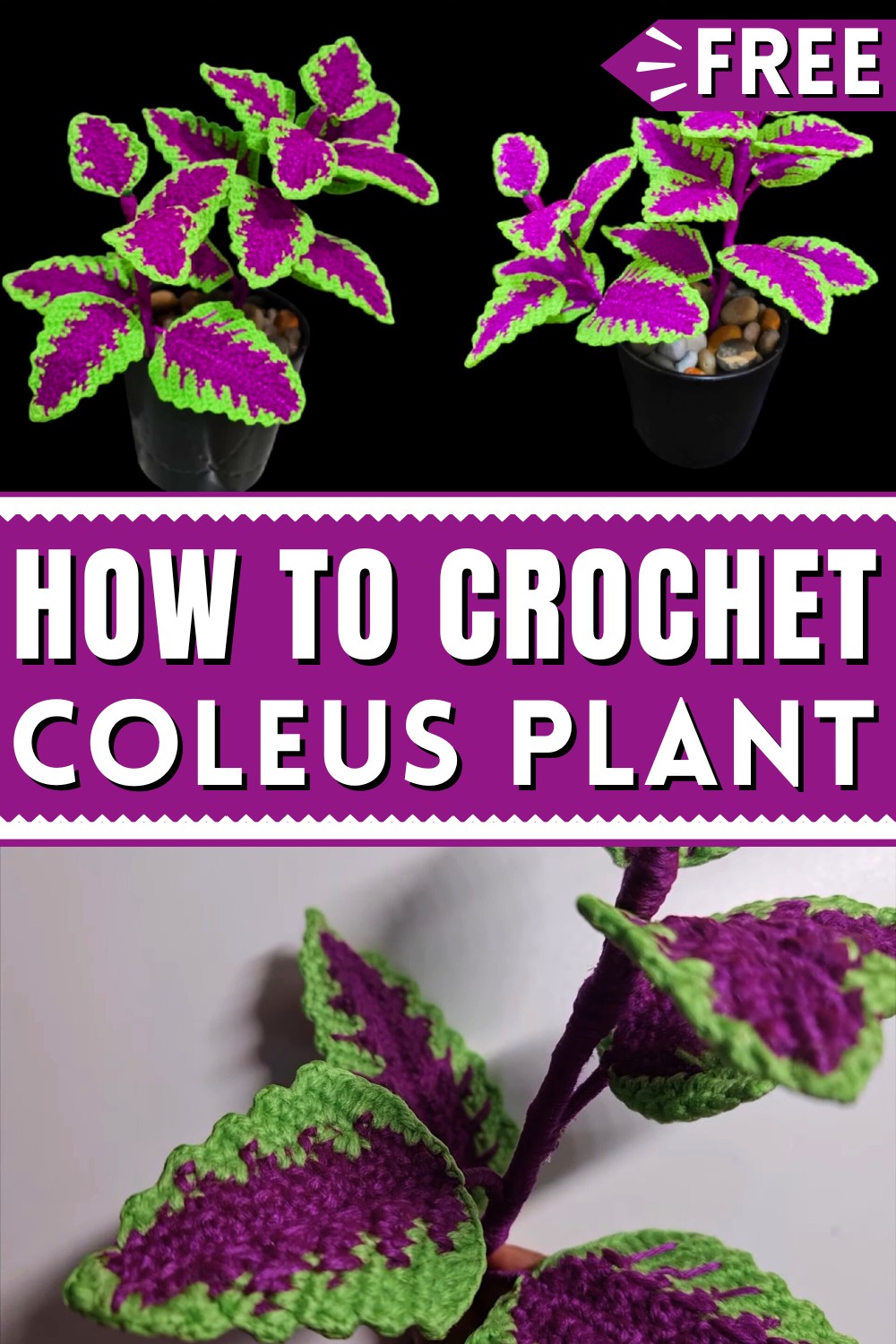 How To Crochet Coleus Plant