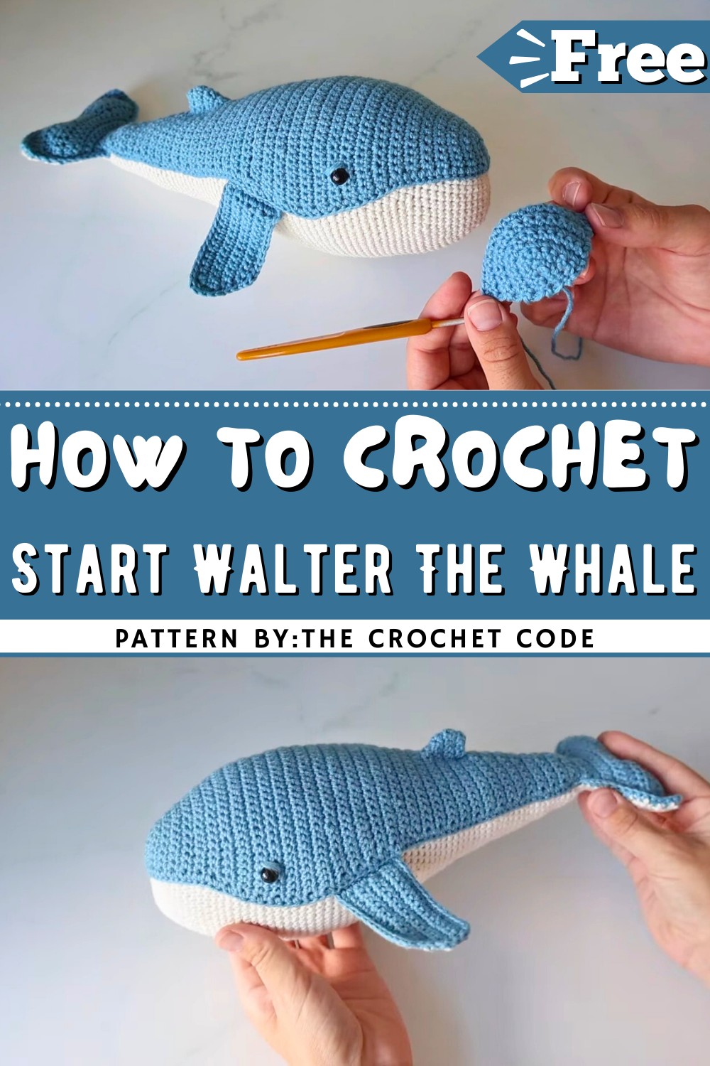 How To Start Walter The Whale