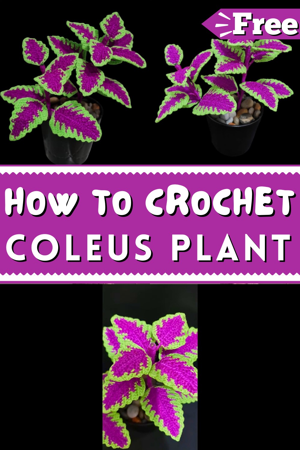 How To Crochet Coleus Plant