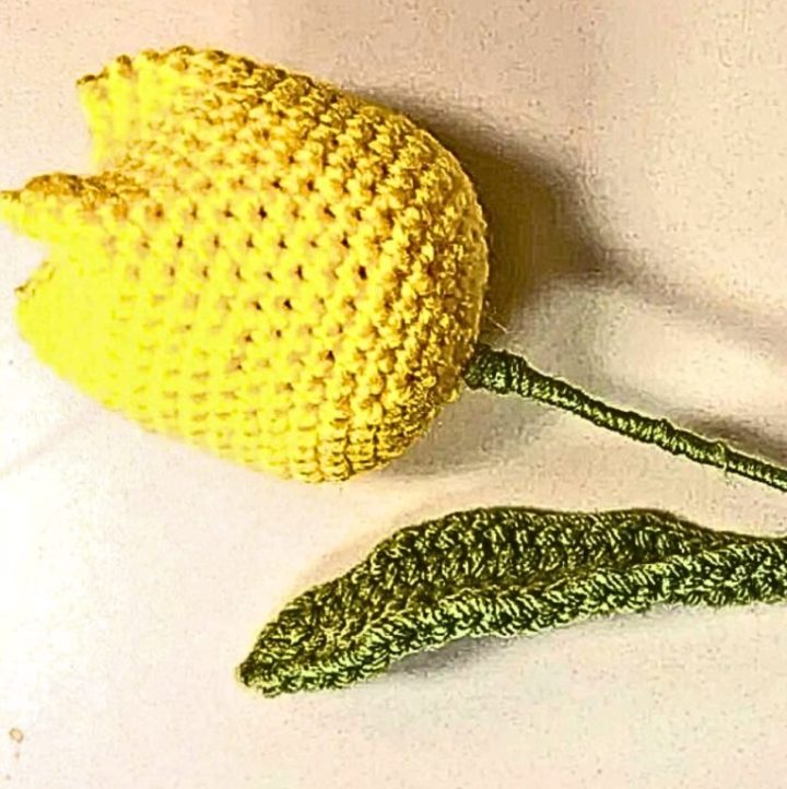 Crochet Beautiful Tulip Flower - Free Pattern